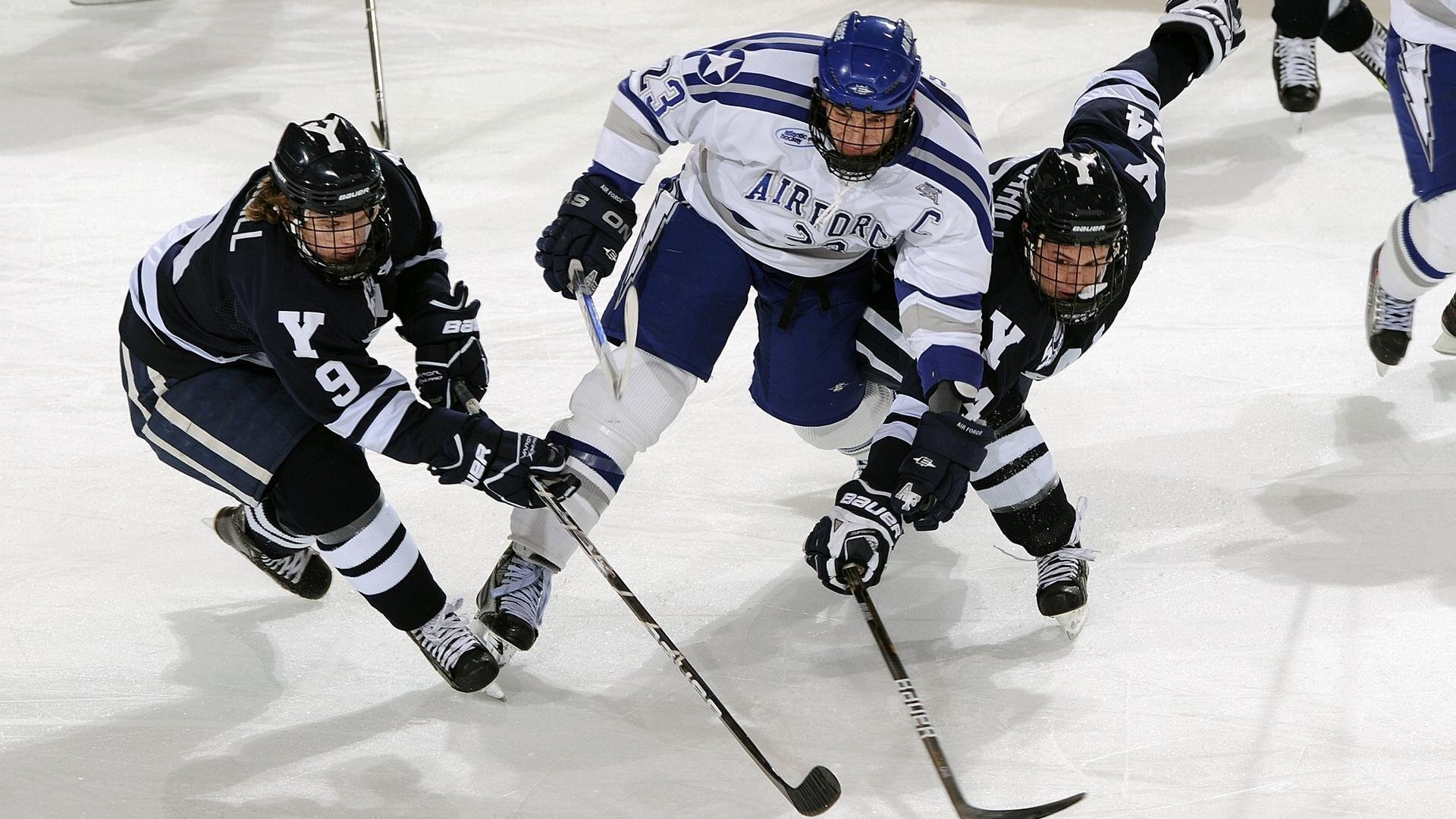 澳大利亚袋鼠队的进攻组织流畅，球员间默契十足，澳大利亚袋鼠竞赛官网