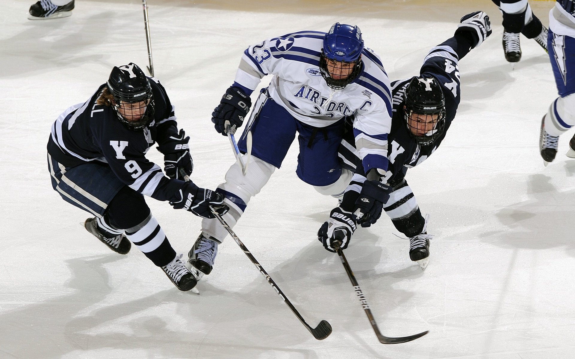 球迷自发慈善：体育公益让篮球更有温度，篮球慈善明星赛