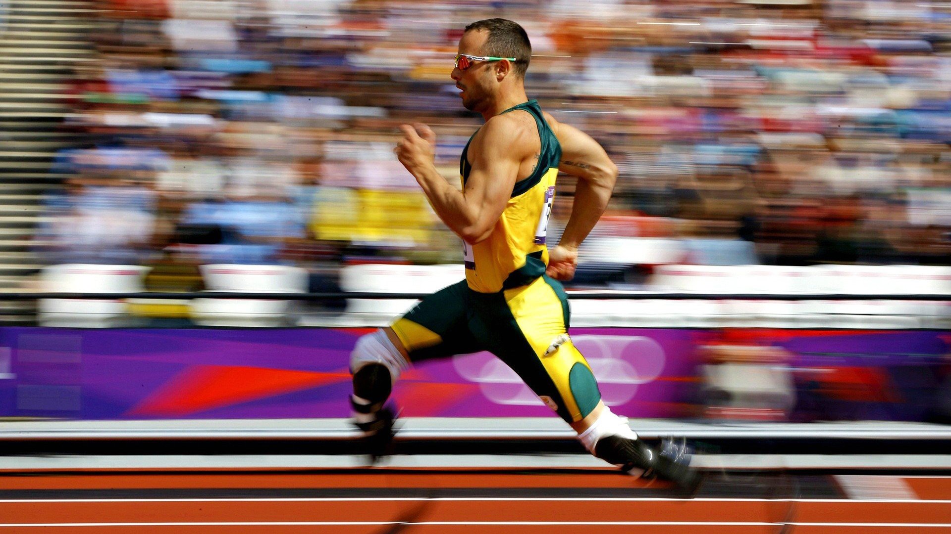 车迷投票：你心中的年度最佳车手，车迷爱好者介绍